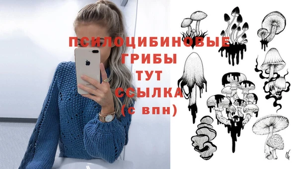 кристаллы Кодинск