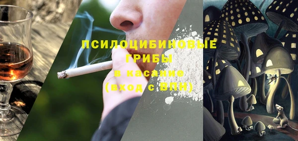 таблы Козловка